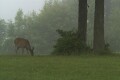 Quiet time